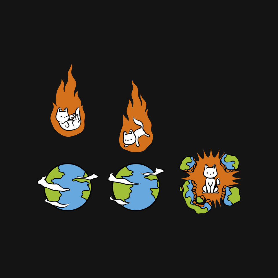 Cat Meteor