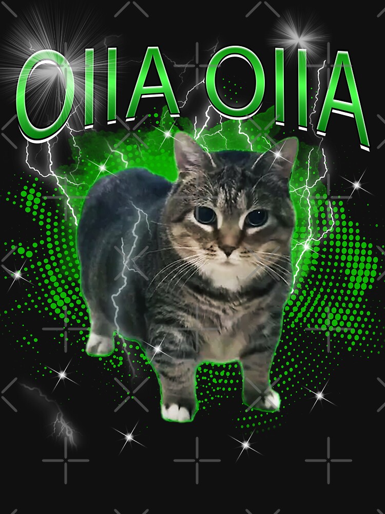 Copy of Spinning Cat OIIA OIIA Electric Funny Meme Cat Meme Inspired Design by Damcoc