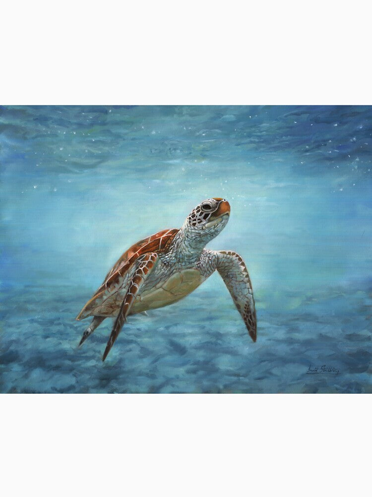 Sea Turtle by David Stribbling