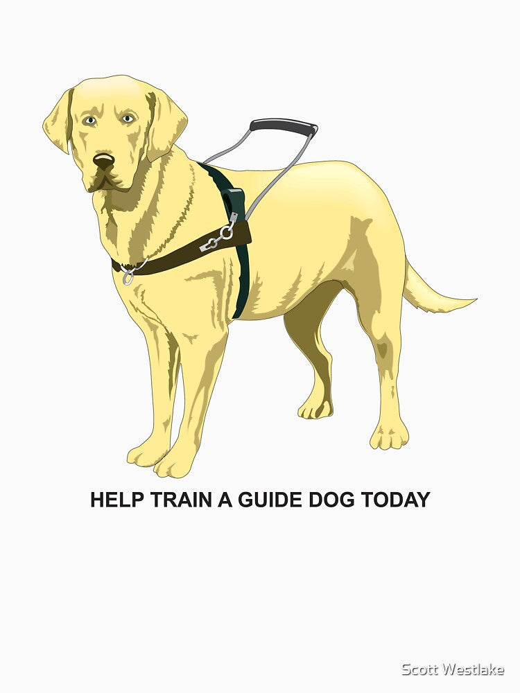Guide Dog by snapperk9