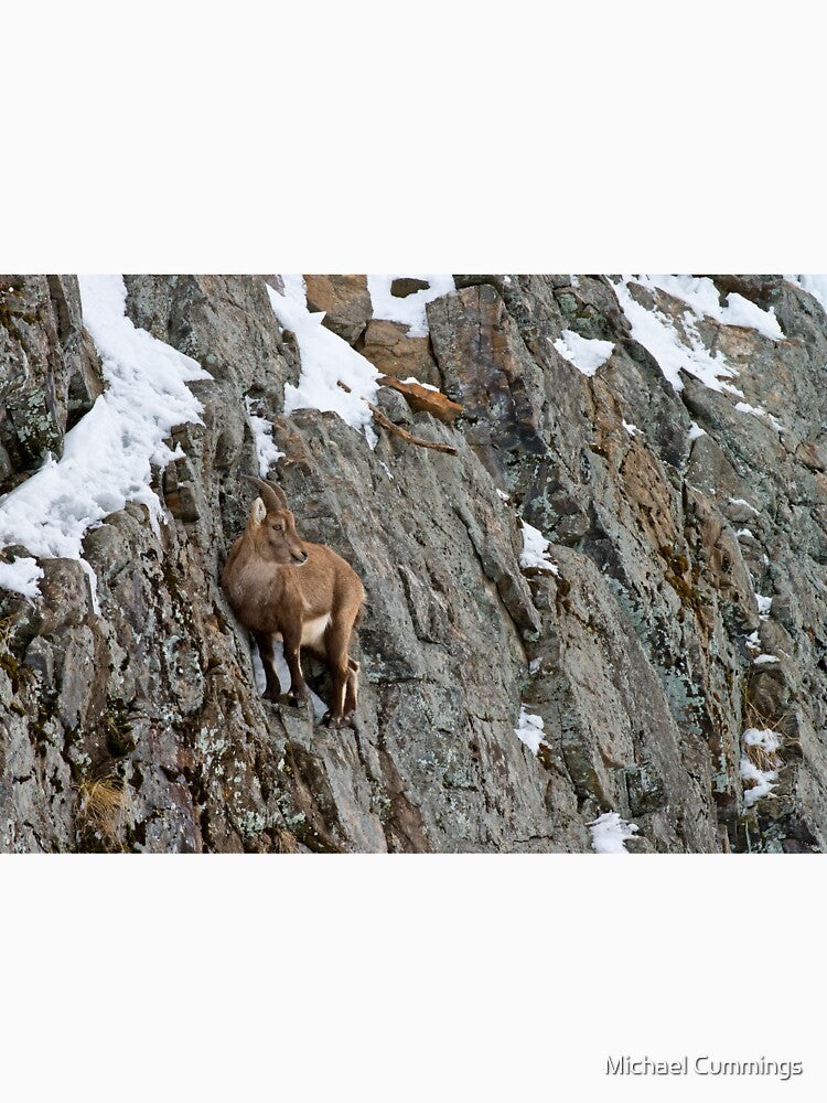 Ibex On Cliff by Michael Cummings