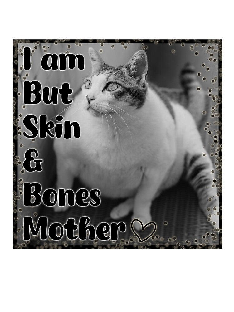 funny cat meme; I am but skin and bones mother by SmallSlicelife