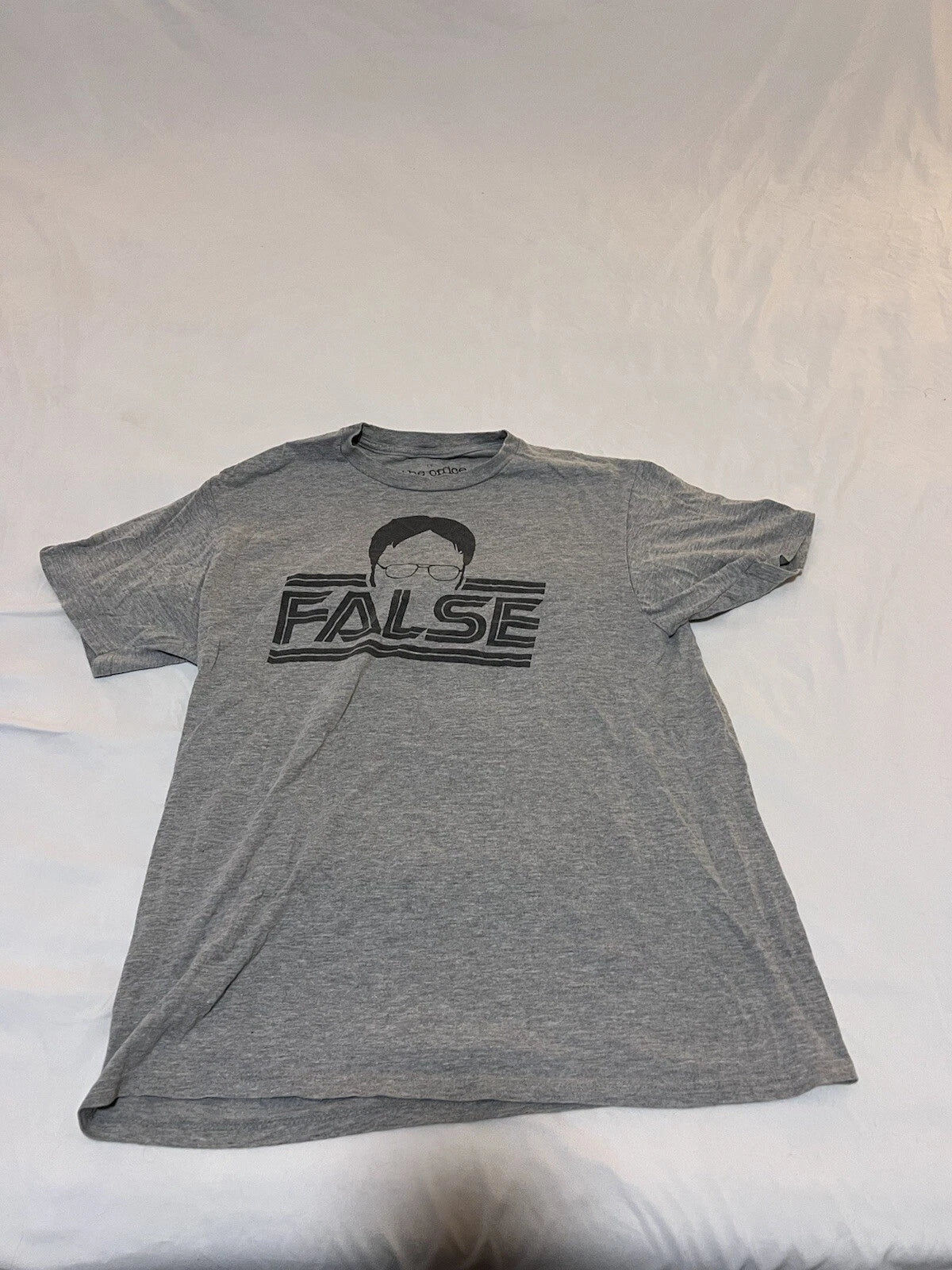 The Office Dwight FALSE Tee T Shirt / Men’s Large Gray Ripple Junction 121