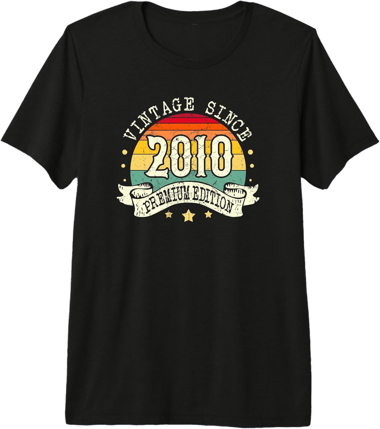 Vintage Simple Born in 2010 Birthday Gift Ideas
