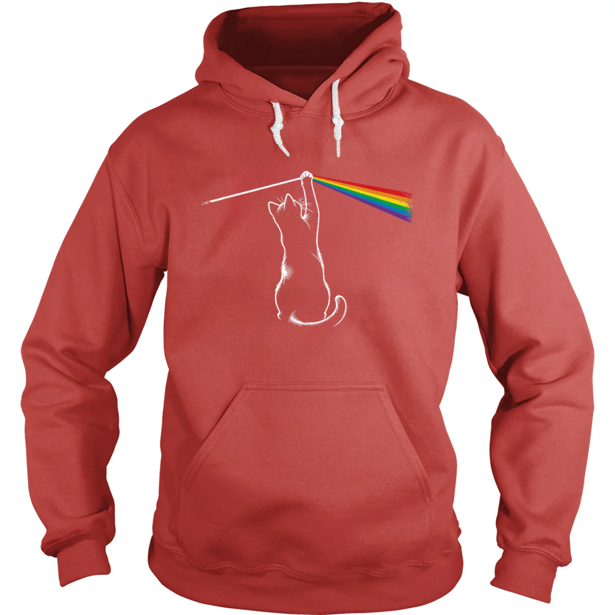 Playing With Light Hoodie