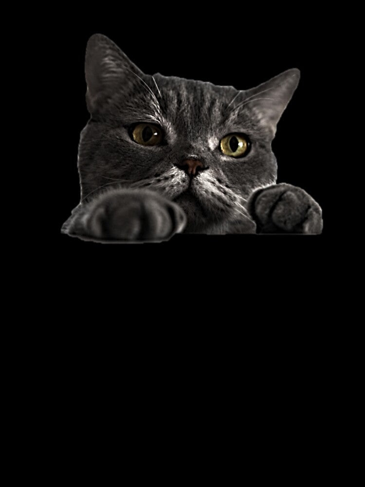 Cute Peeking Cat - Funny Curious Kitty Illustration by NoxLand
