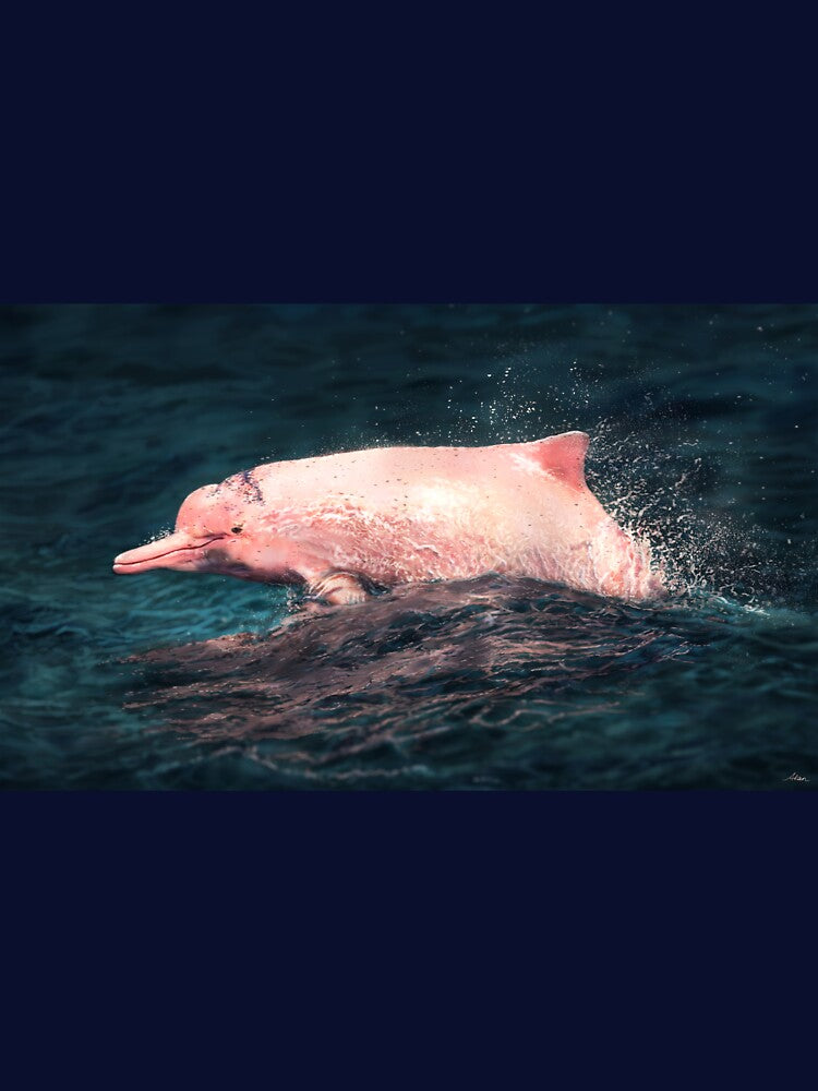 Pink dolphin by alandodrawing
