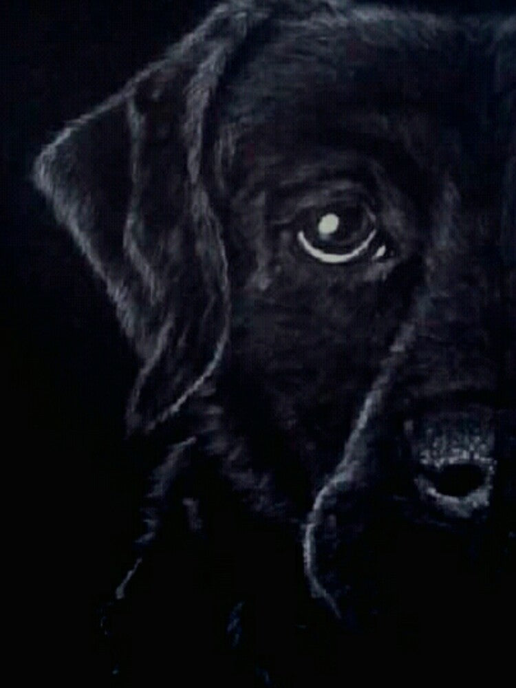 Black Labrador retriever portrait by horseaddicted