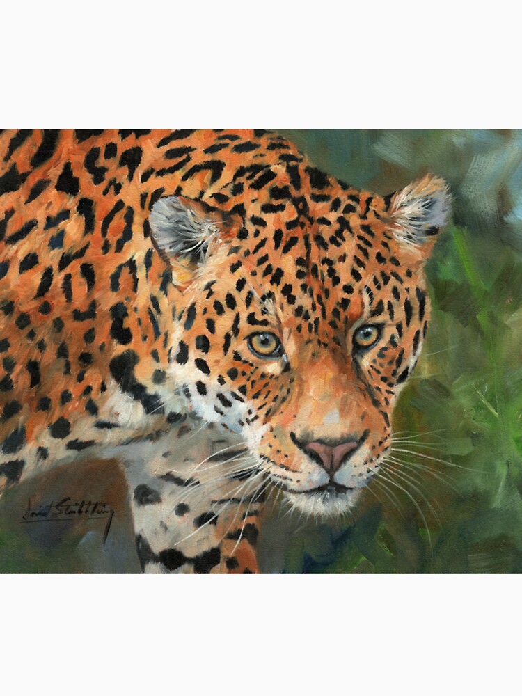 Jaguar Stare. by David Stribbling