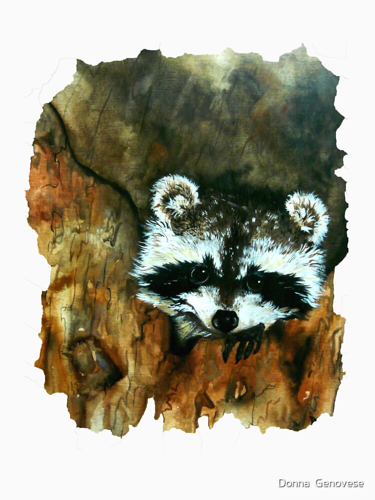 Curious Raccoon by Donna Genovese