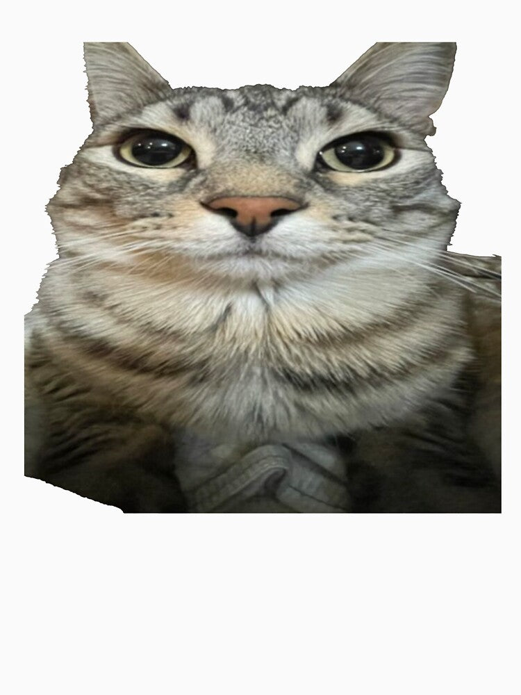 cat looking directly at you png by Greg Heffley