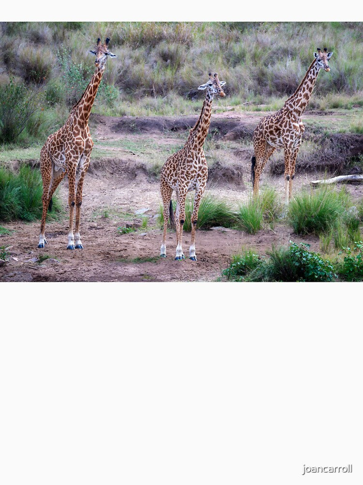 Giraffe Trio Masai Mara Kenya by PhotoArt by Joan Carroll