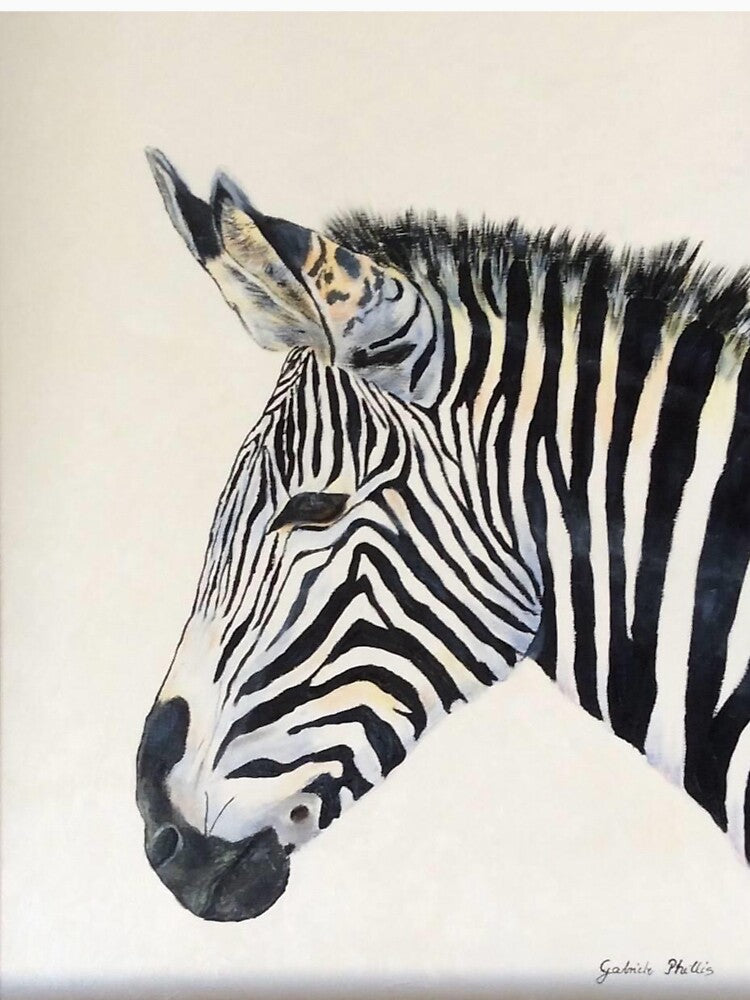 Zebra by Gabriele Phillis