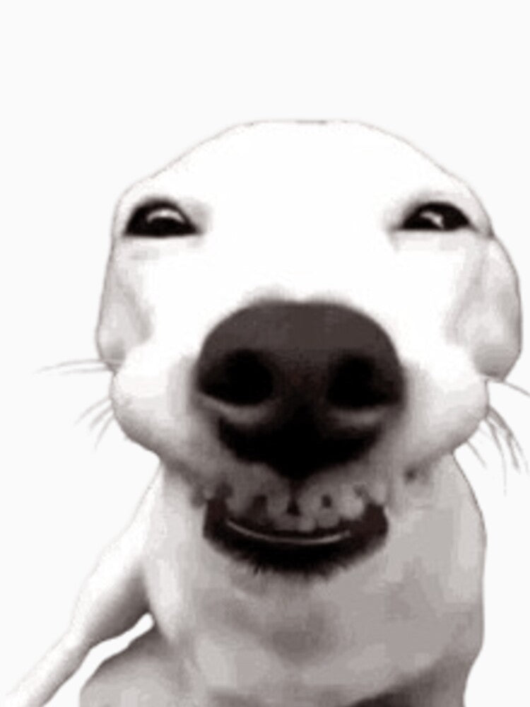 Cute Funny Smiling Dog Meme by PrecisionByAJSM