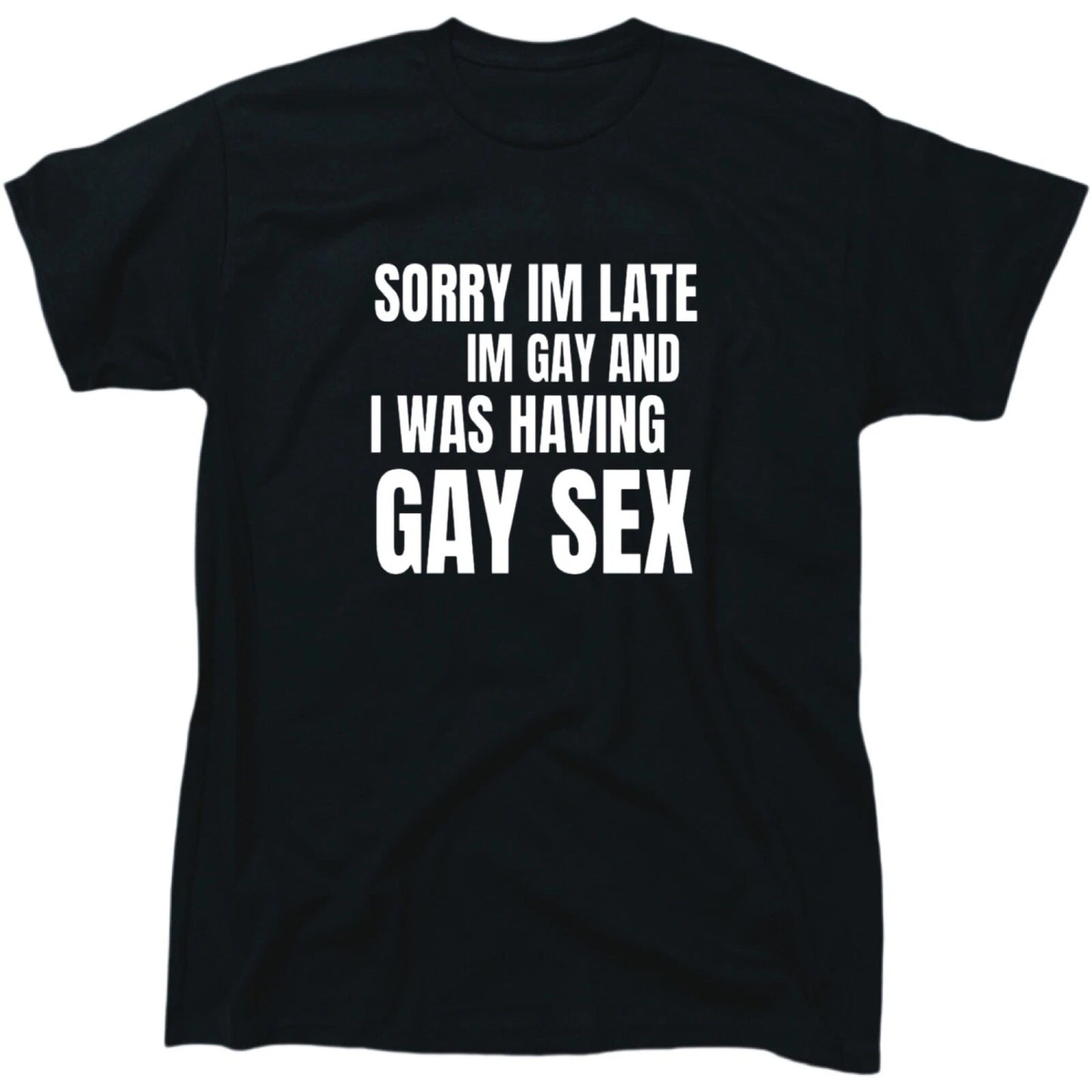Sorry I'm Late I'm Gay And I Was Having Gay Sex Mens Pride T-Shirt - Gift
