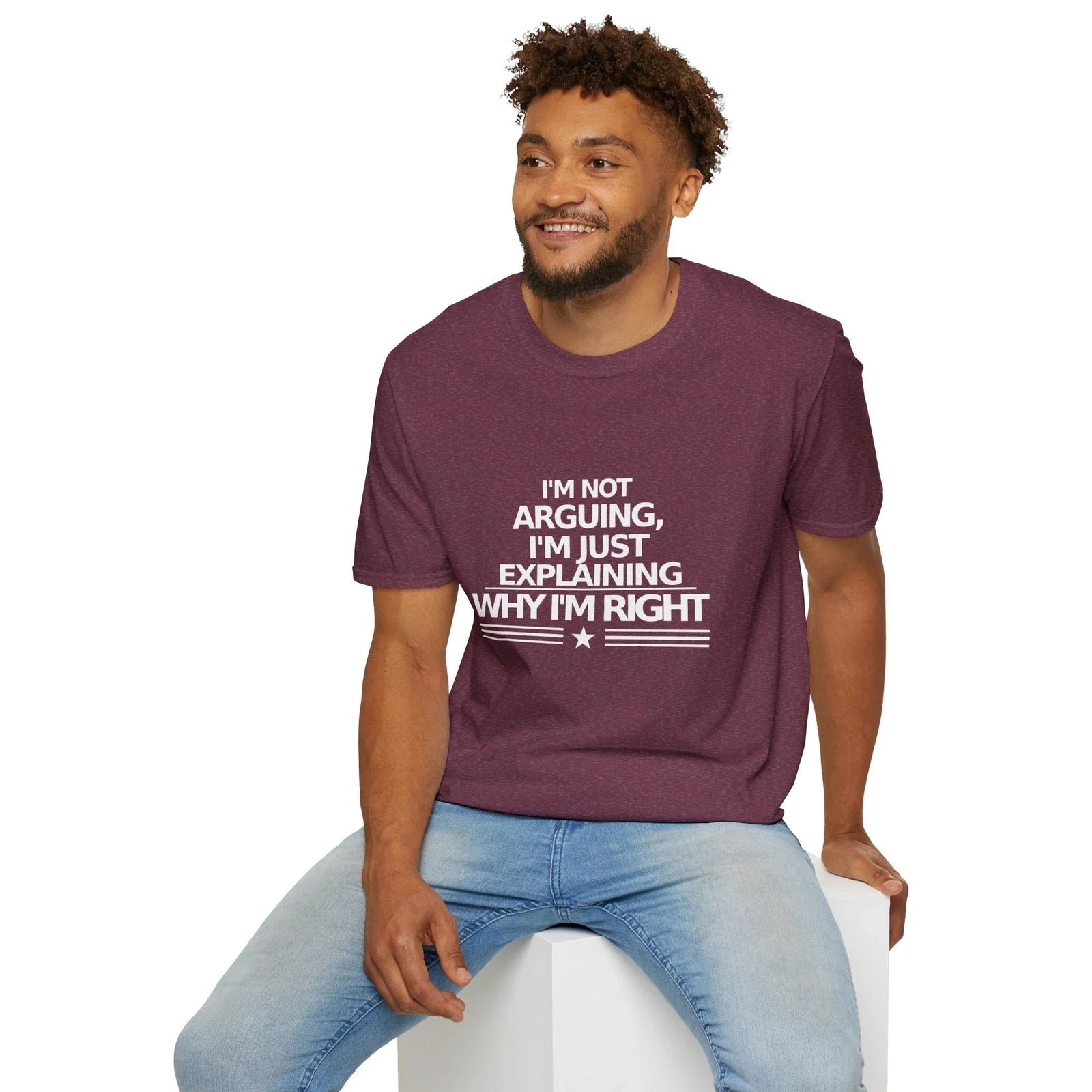 Funny Explanation Tee, Sarcastic Graphic Shirt, Unisex Softstyle T-Shirt,
