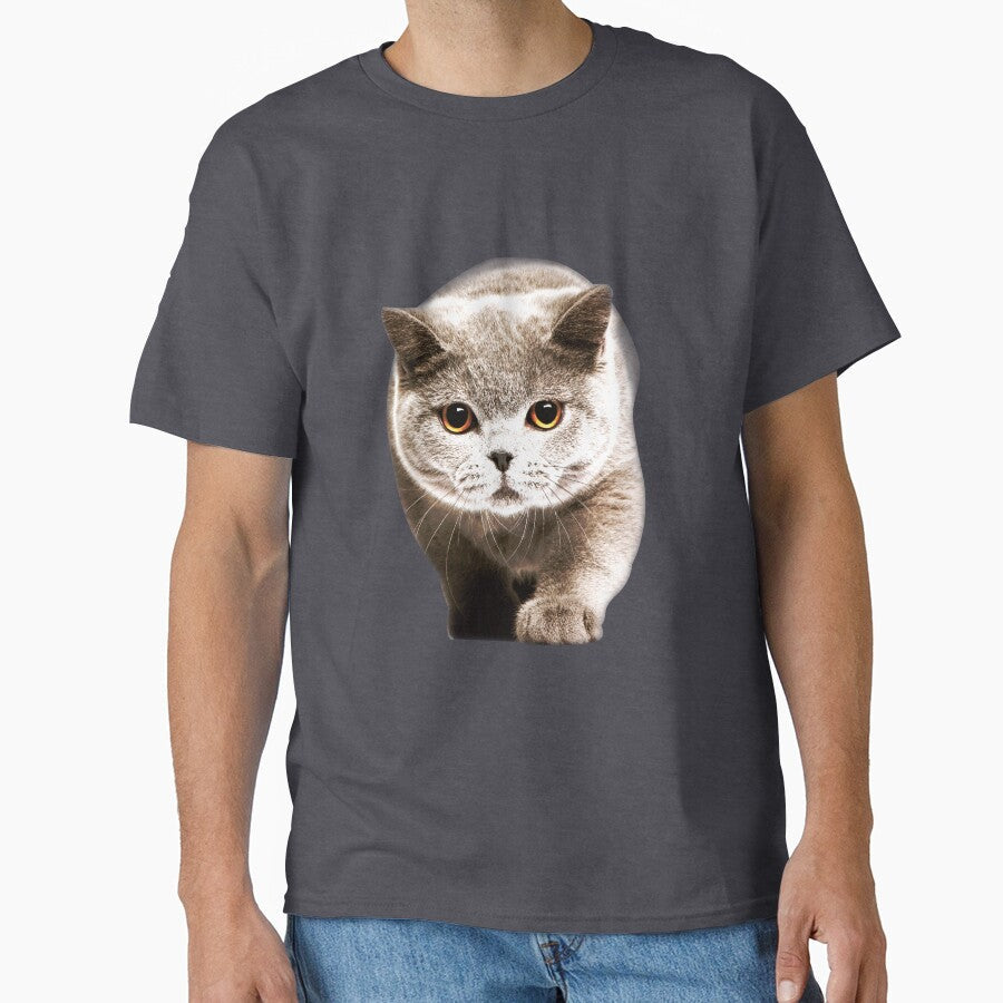 A cute cat that's looking for food by seunghu
