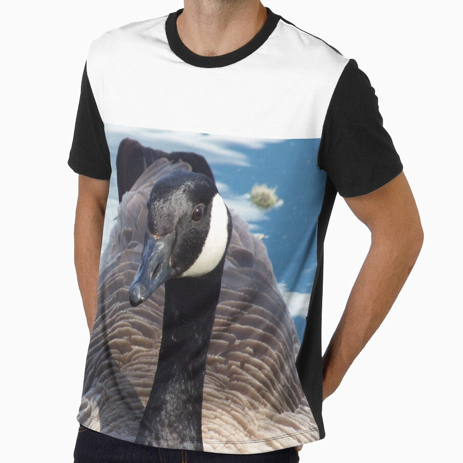 Canada Goose (Branta canadensis) by FastRapidash