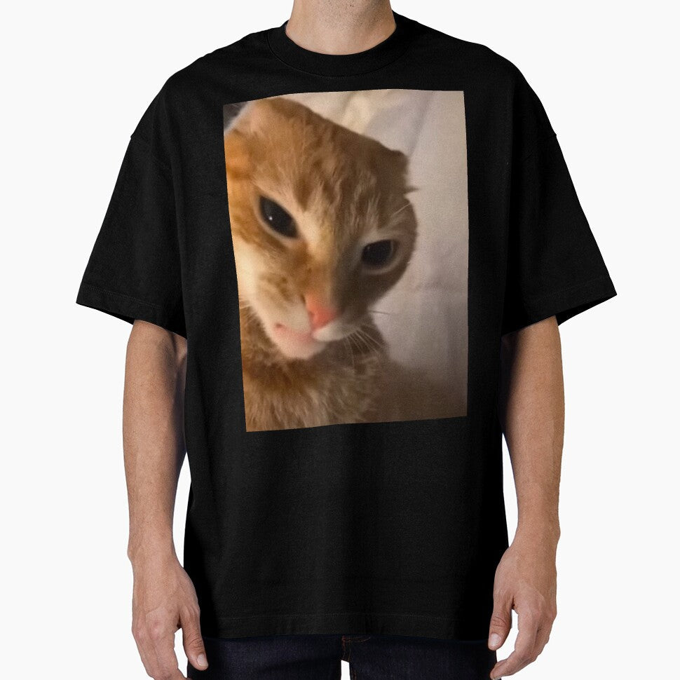 angry orange cat meme by ClizieRose