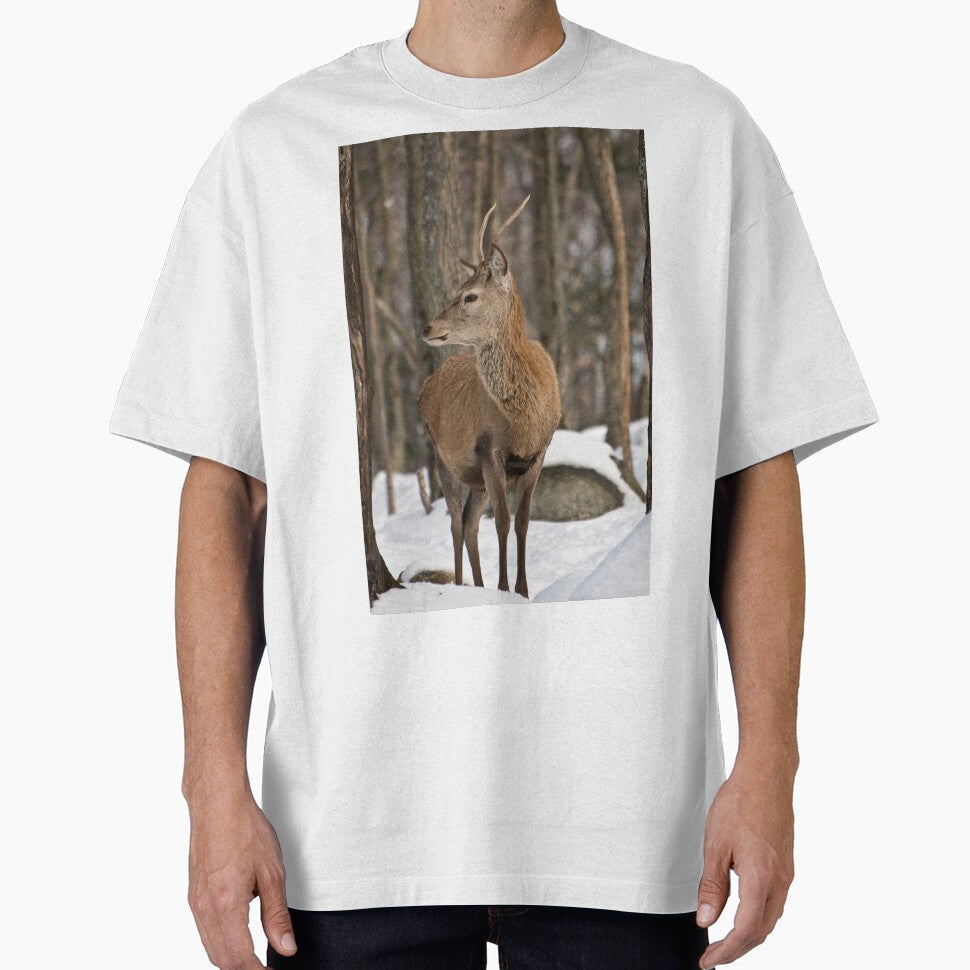 Young buck by Tracey  Dryka