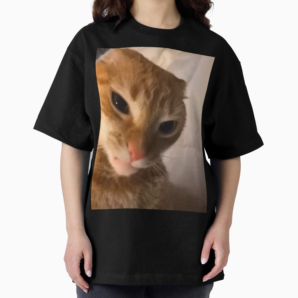 angry orange cat meme by ClizieRose